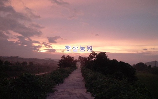 햇살 이미지