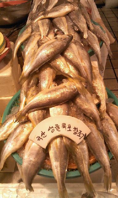 선영상회 이미지