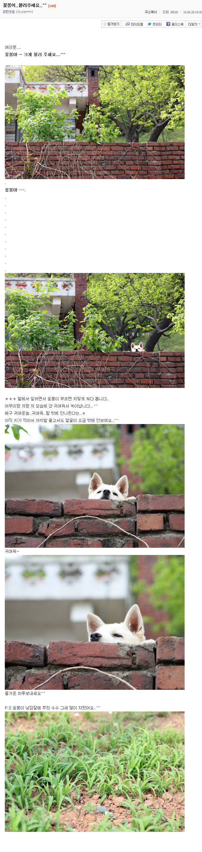 사랑스러운 시골강아지 꽃봉이의 하루.jpg | 인스티즈