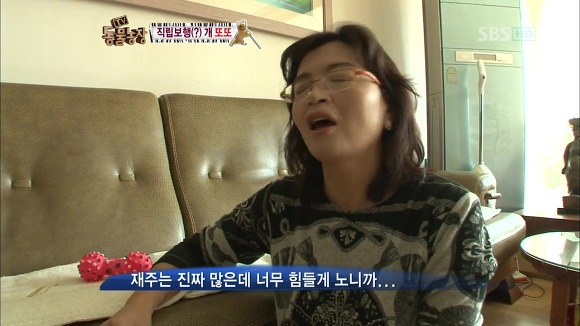 [동물농장] 지팡이 짚고 걷는 심봉사 개 또또라오 | 인스티즈