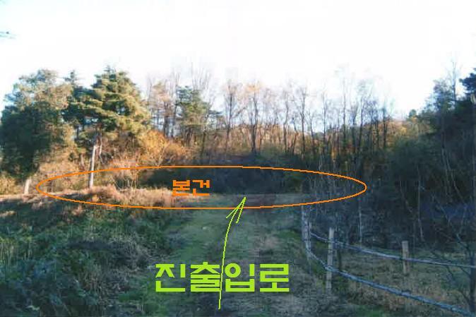 대구동_강릉 이미지