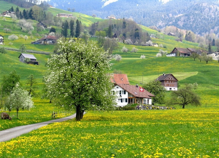 114F8F3A4EFC3AD90E6426