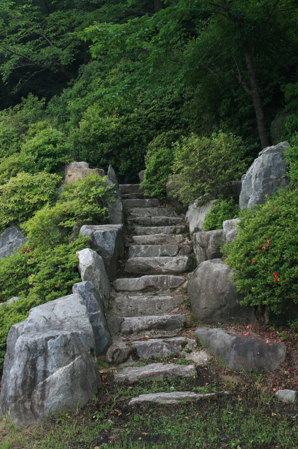 김응찬 이미지
