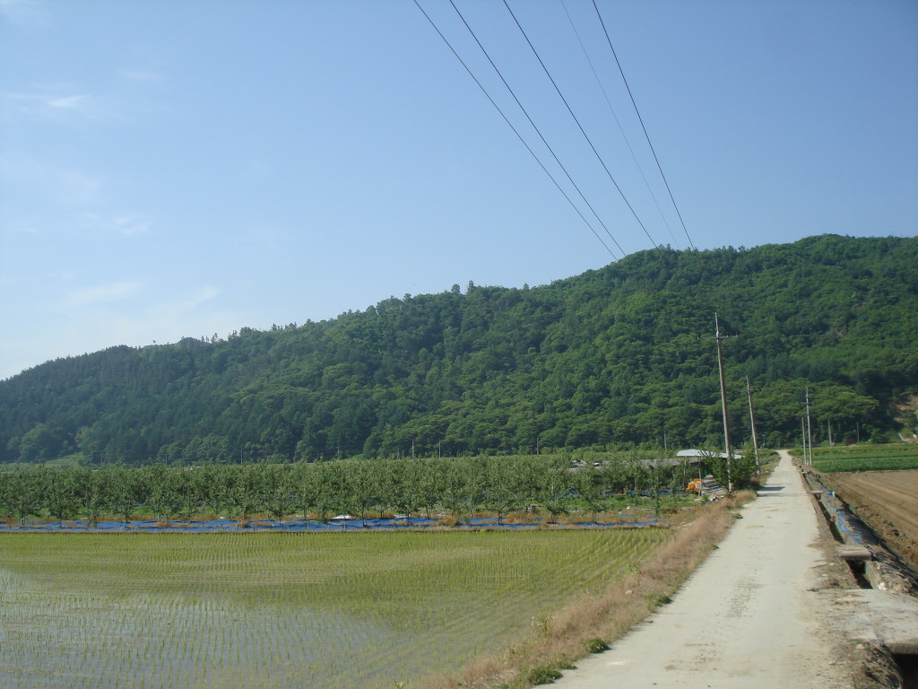 더과수원 이미지