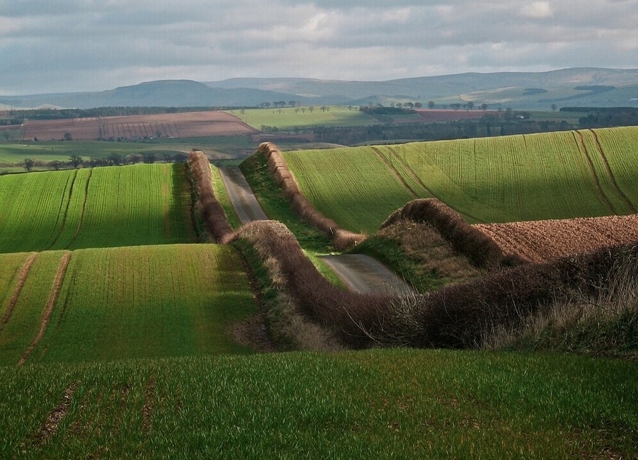 12028A364EFC3ADE2BF597