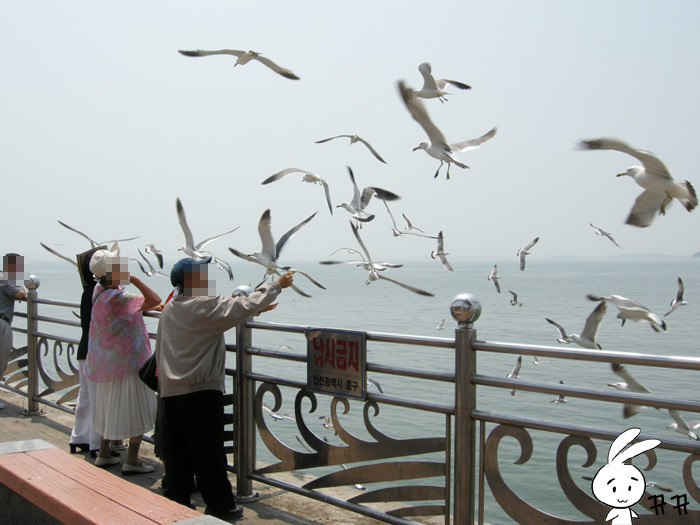 주는데로 이미지
