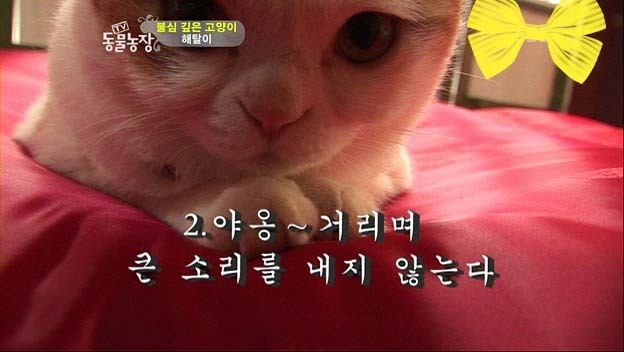 상귀농장 이미지