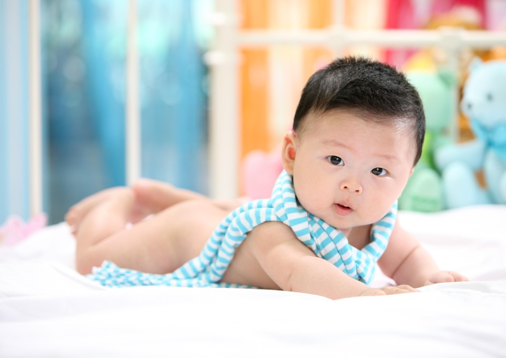 세이치즈 이미지