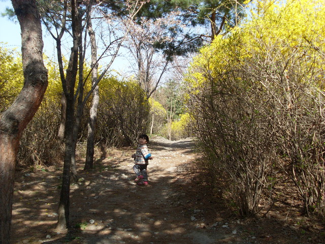 더블클릭을 하시면 이미지를 수정할 수 있습니다