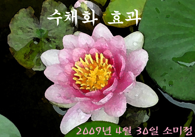 소미정 이미지