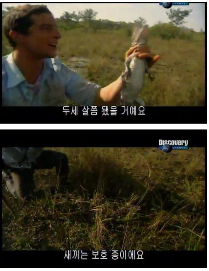 그릴스 이미지
