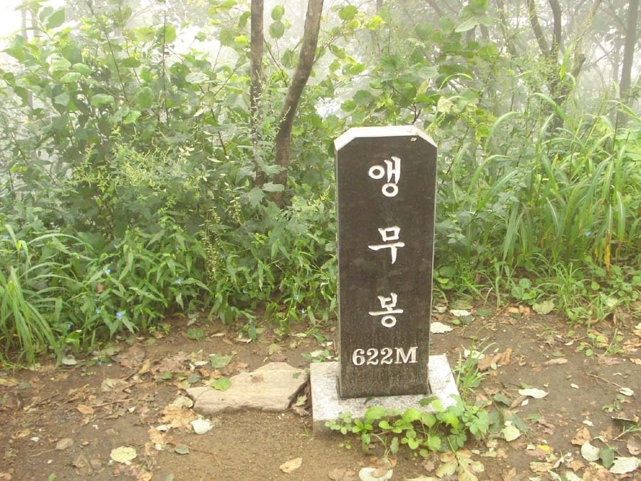 앵무봉 이미지