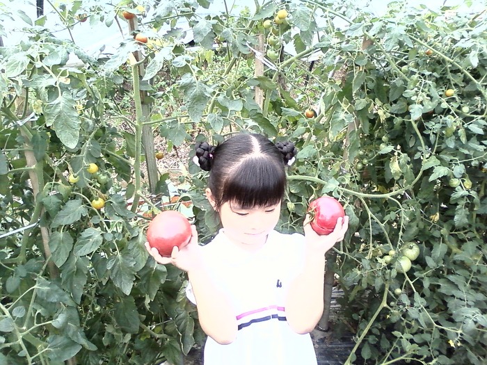 은솔하우스 이미지