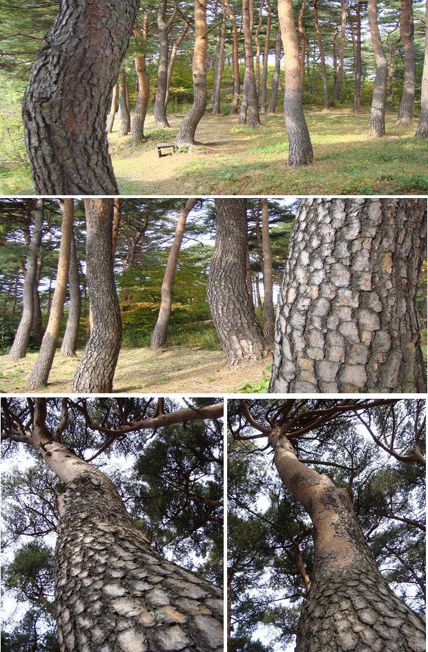 감동골 이미지