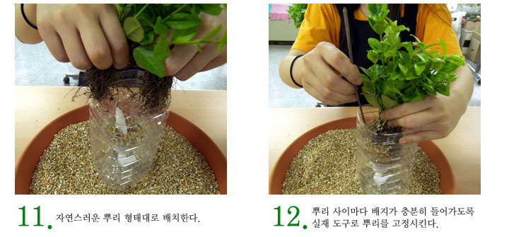 녹색인테리어 이미지