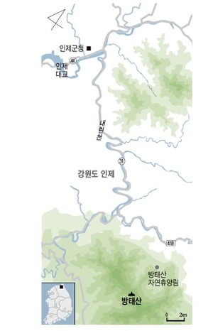 방태산약초 이미지
