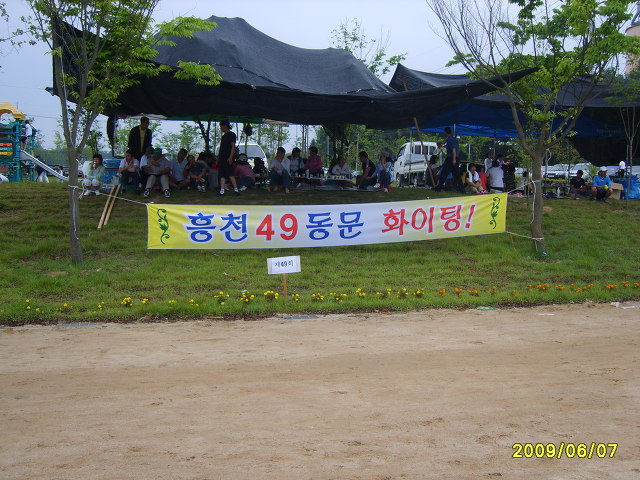 흥천초교 이미지
