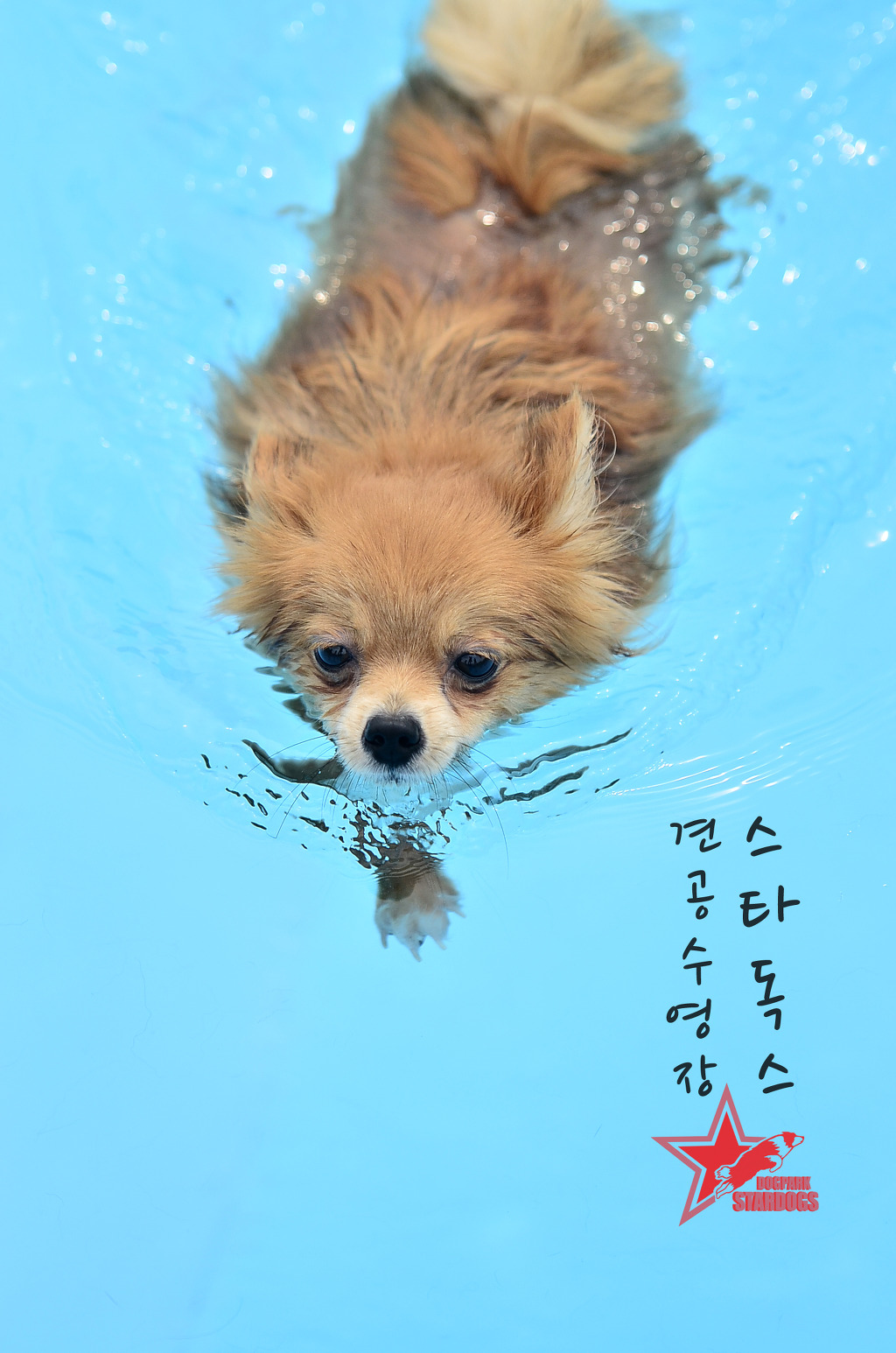 단비 이미지