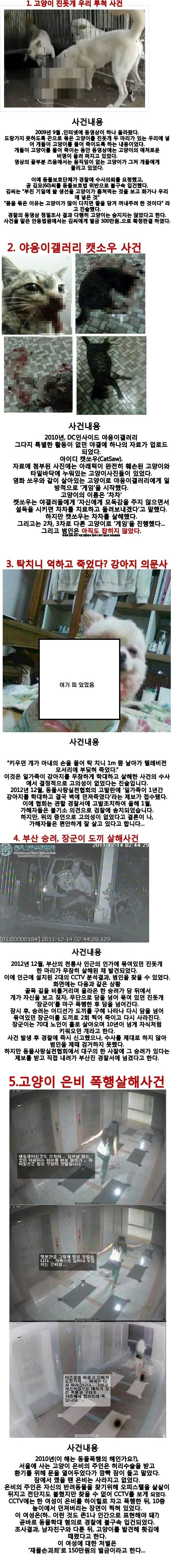  대한민국 동물학대 리포트 | 인스티즈