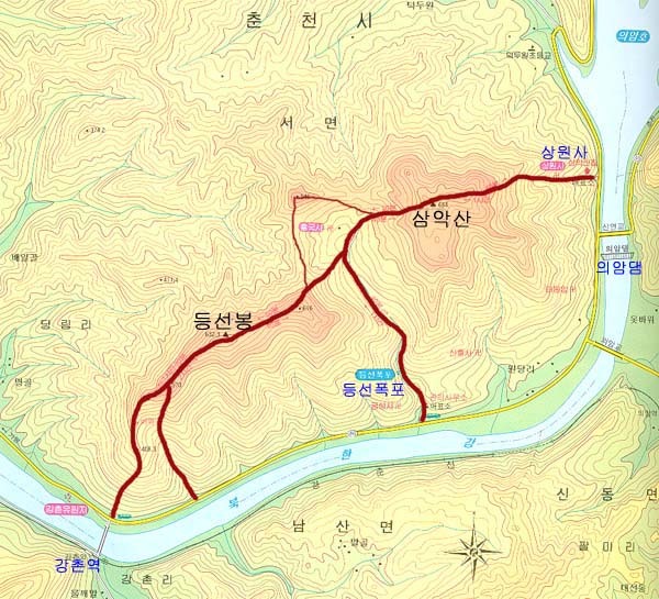 비선식당 이미지