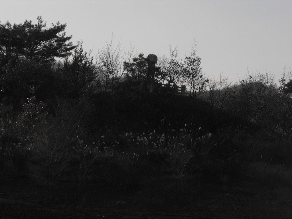 143AF4354EF0427F18DA56