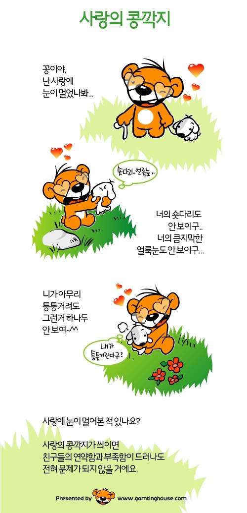 콩깍지 이미지