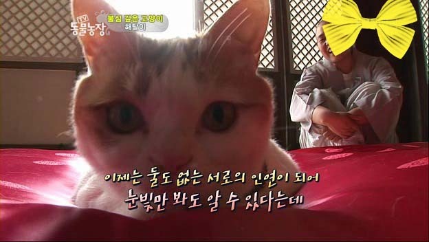 상귀농장 이미지