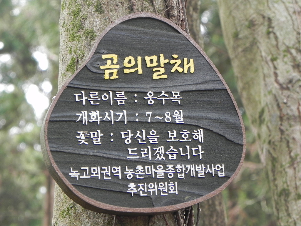 우성사 이미지