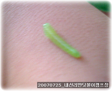 동막골캠핑장 이미지