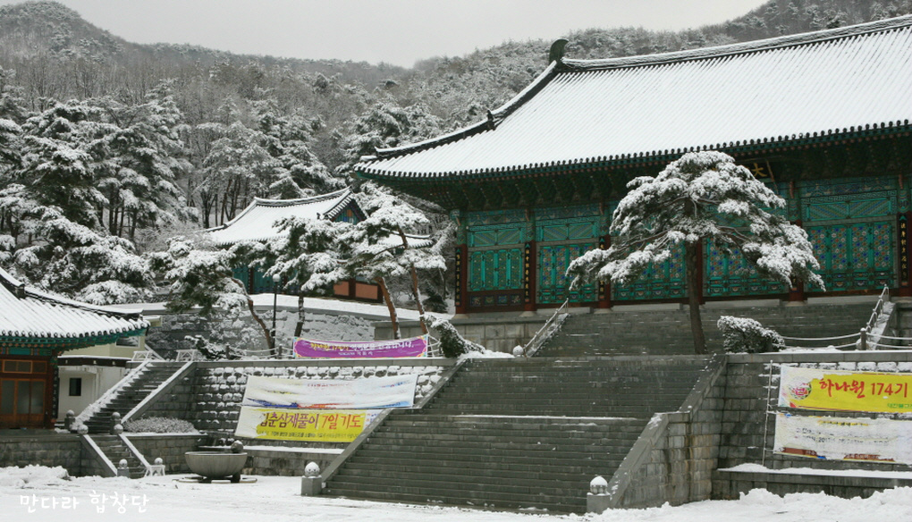 법인자연심 이미지