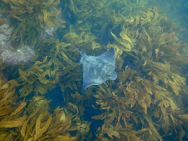 1561A44A4D4EB6951856F7