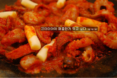 아라쭈꾸미 이미지