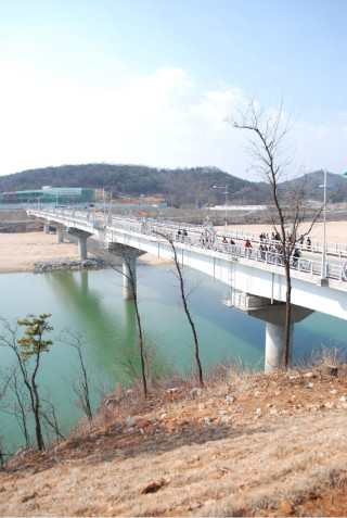 낙동강오리알 이미지
