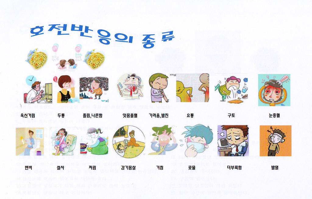 엘라이프 이미지
