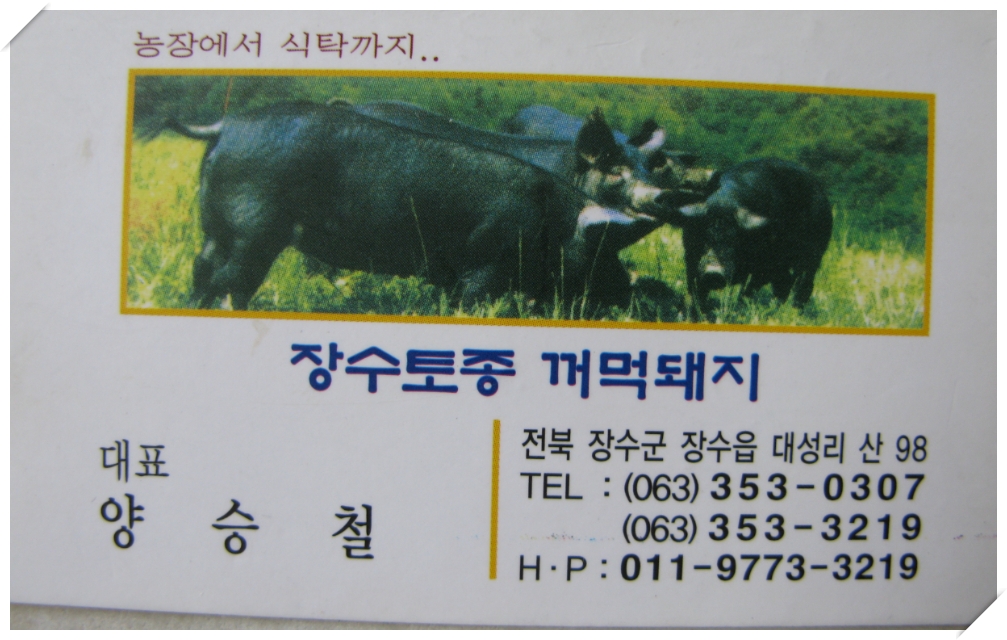 장수흙돼지 이미지
