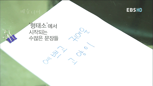 형태소 이미지