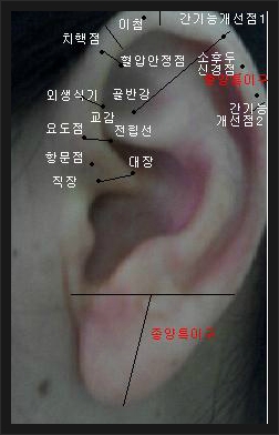 박형미 이미지