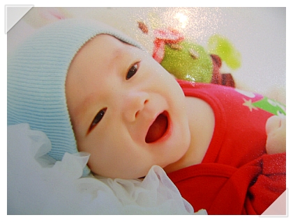 (주)미소트리 이미지