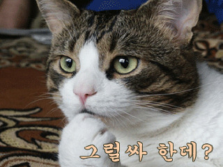 누 이미지