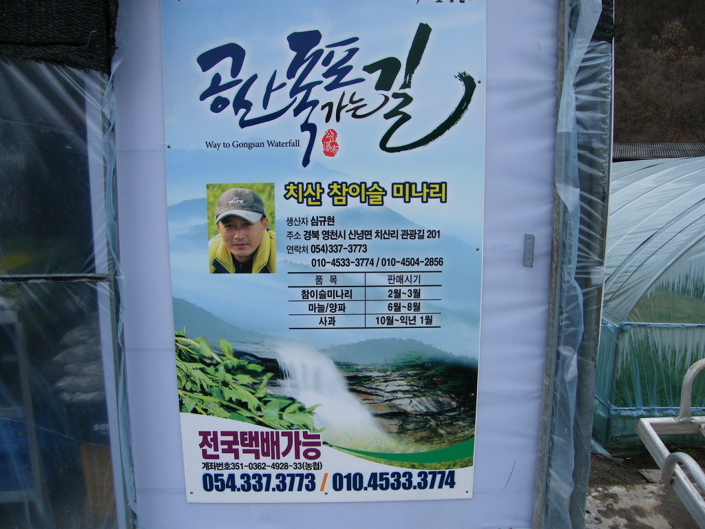 치산미나리 이미지