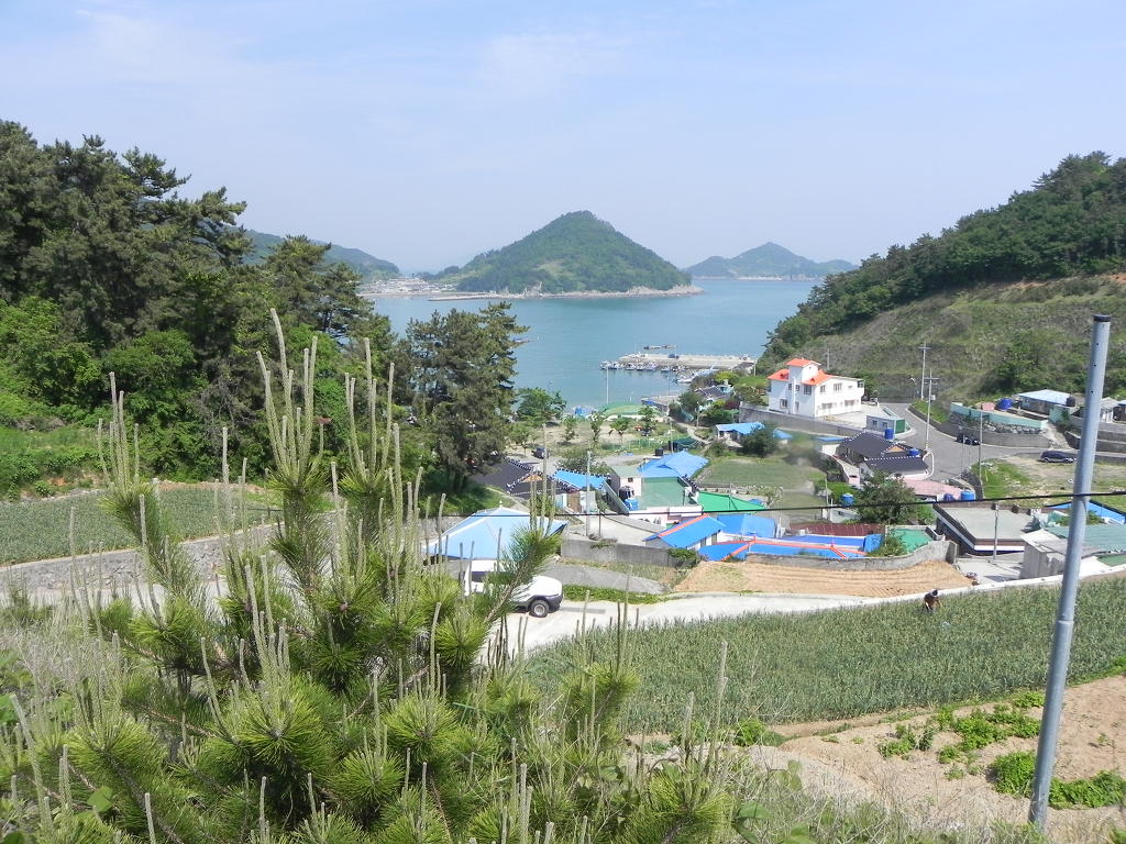 미조설리 이미지