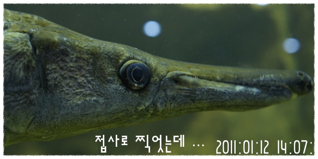 아쿠아월드 이미지