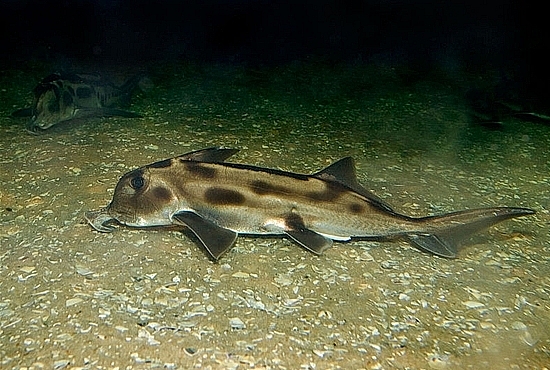 182EFF564D4ECA2E3489E6