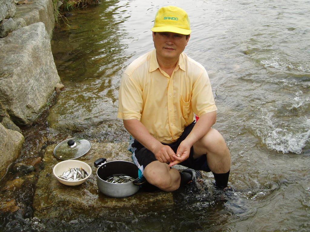 숲속의계곡 이미지