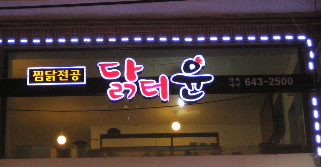 닭터 이미지