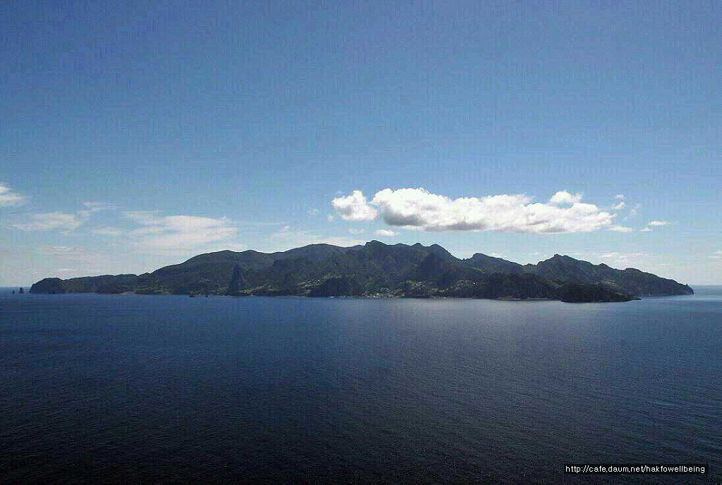 울릉도식품 이미지