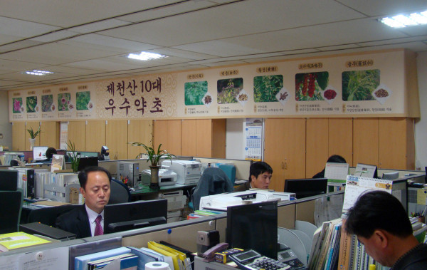 제천한방약초 이미지