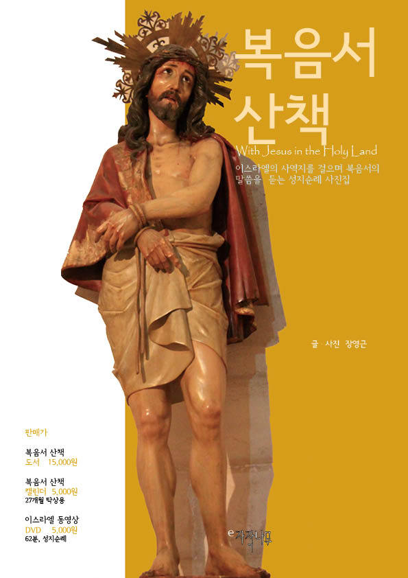 A4칼라기획 이미지