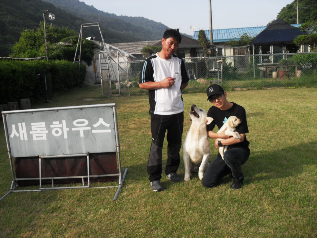 새롬 이미지