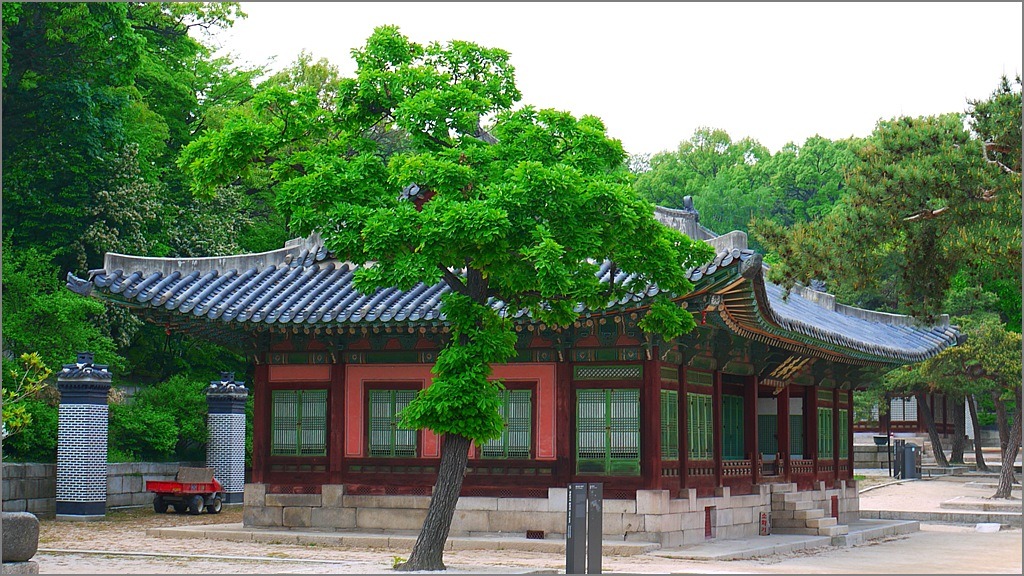 비-원 이미지